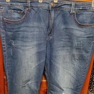 Melissa McCarthy 7 Distressed Jeans